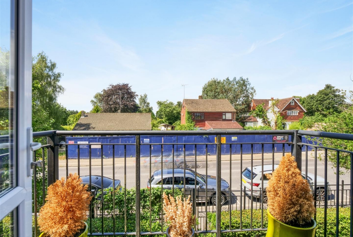 Yew Tree Court.