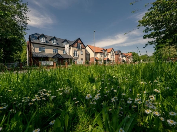 Wisteria Place